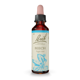 Bach Original Beech 20 ml