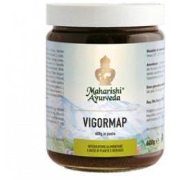 Vigormap 600 g