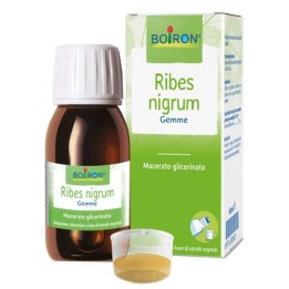 Boiron Ribes Nigrum Macerato Glicerinato 60ml