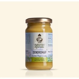 Dendromap Pasta 175g