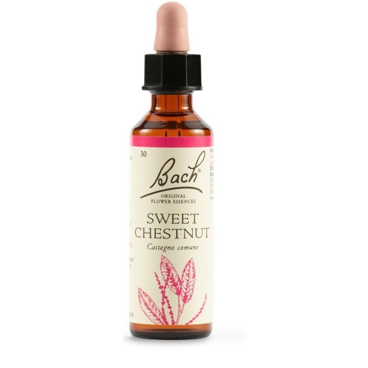 Bach Original Sweet Chestnut 20 ml