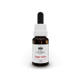 Australian Bush Flower Dagger Hakea 15 ml
