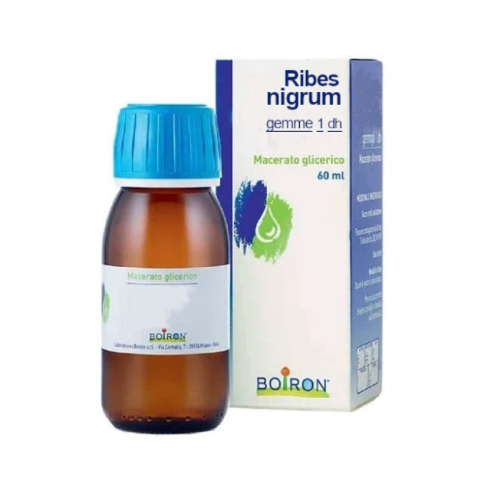 Boiron Ribes Nigrum Macerato Glicerico Gocce 60 ml