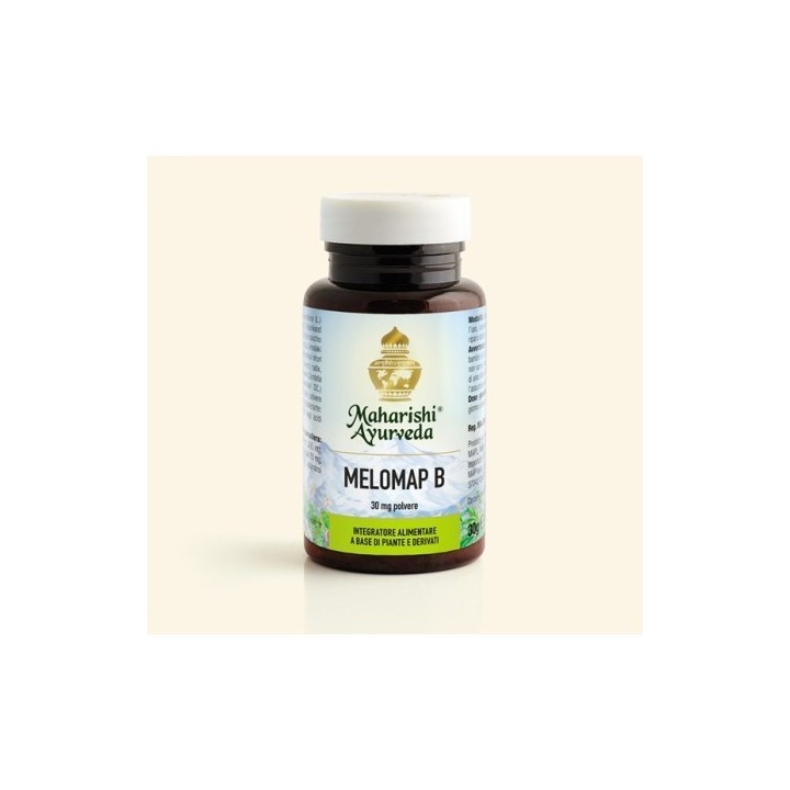 Melomap B Polvere 30g