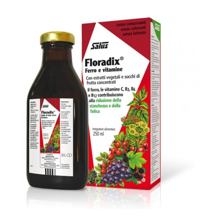 Salus Floradix Ferro 250 ml
